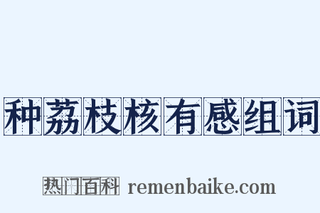 种荔枝核有感组词是什么意思的图片
